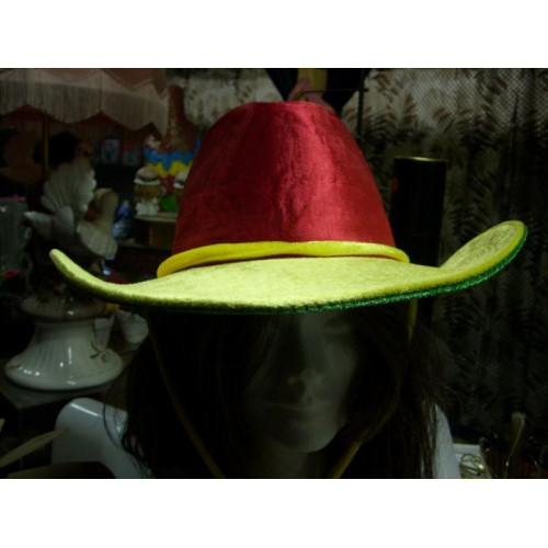 Cowboy hoed felle kleuren 5 stuks grote maat