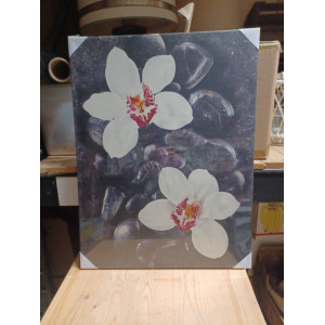 Canvas orchidee wit 47x62cm aantal 1 stuks.