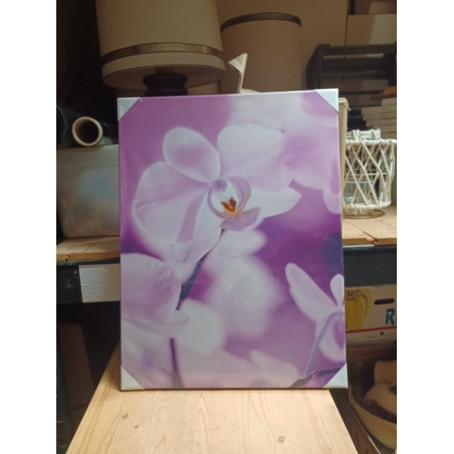 Canvas orchidee rose 47x62cm aantal 1 stuks.